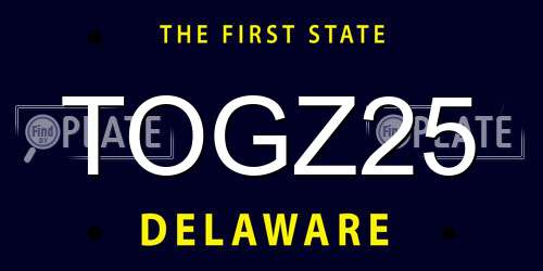 TOGZ25 Delaware License Plate
