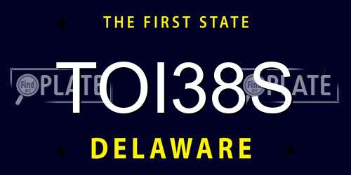 TOI38S Delaware License Plate