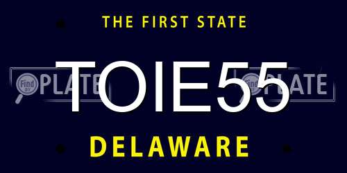 TOIE55 Delaware License Plate