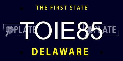 TOIE85 Delaware License Plate