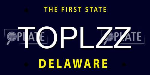 TOPLZZ Delaware License Plate
