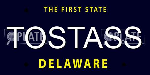 TOSTASS Delaware License Plate