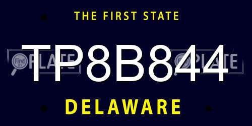 TP8B844 Delaware License Plate