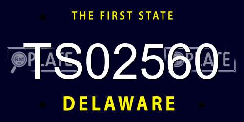 TS02560 Delaware License Plate