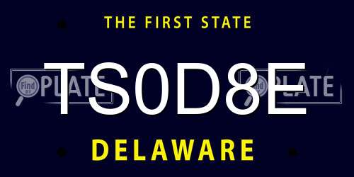 TS0D8E Delaware License Plate