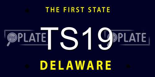 TS19 Delaware License Plate