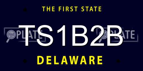 TS1B2B Delaware License Plate