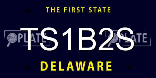 TS1B2S Delaware License Plate