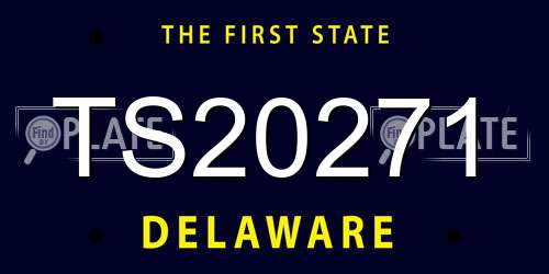 TS20271 Delaware License Plate