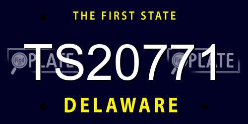 TS20771 Delaware License Plate