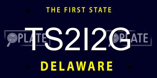 TS2I2G Delaware License Plate