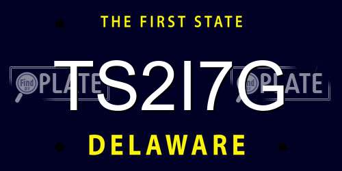 TS2I7G Delaware License Plate