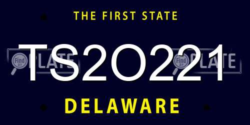 TS2O221 Delaware License Plate