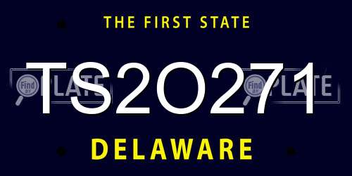 TS2O271 Delaware License Plate