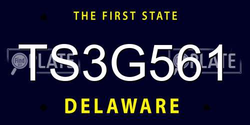 TS3G561 Delaware License Plate