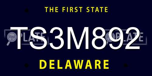 TS3M892 Delaware License Plate
