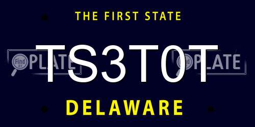 TS3T0T Delaware License Plate