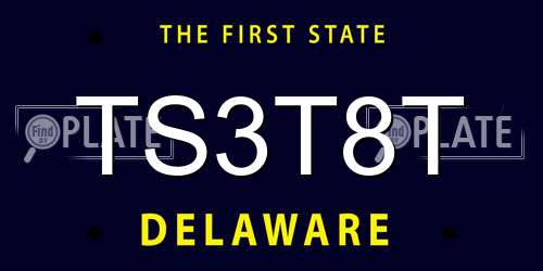 TS3T8T Delaware License Plate