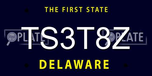 TS3T8Z Delaware License Plate