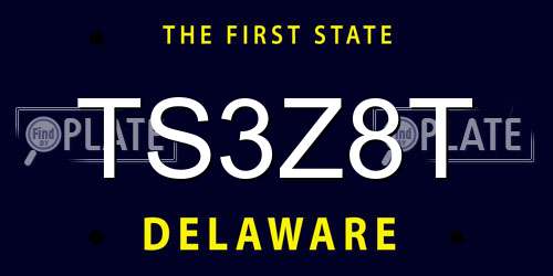 TS3Z8T Delaware License Plate