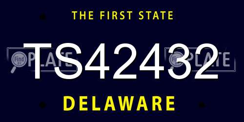 TS42432 Delaware License Plate