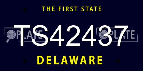 TS42437 Delaware License Plate