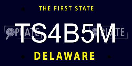 TS4B5M Delaware License Plate