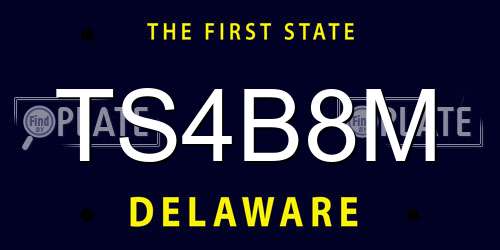 TS4B8M Delaware License Plate