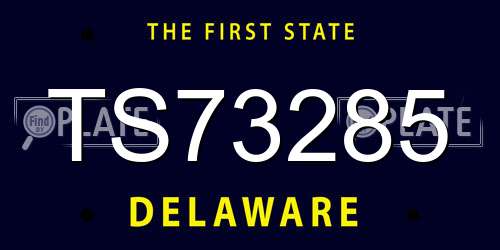 TS73285 Delaware License Plate