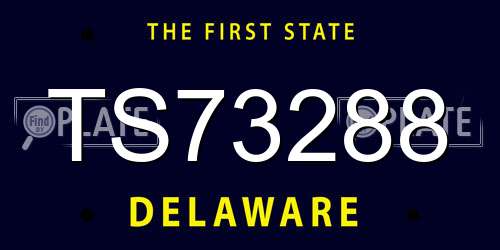 TS73288 Delaware License Plate