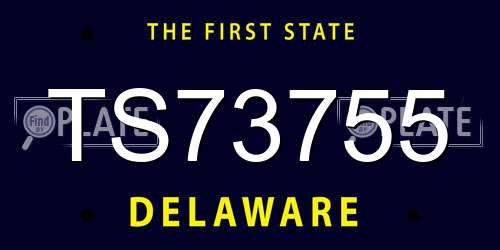 TS73755 Delaware License Plate