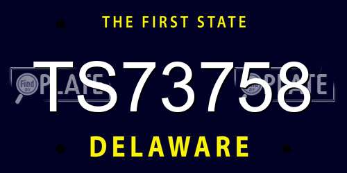 TS73758 Delaware License Plate