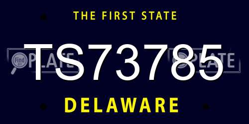 TS73785 Delaware License Plate