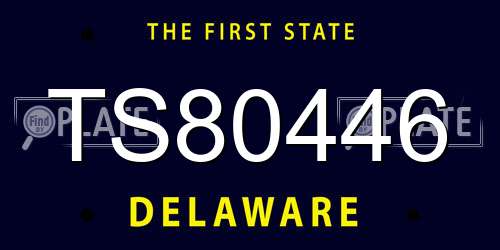 TS80446 Delaware License Plate