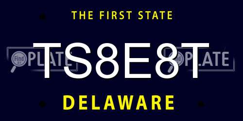 TS8E8T Delaware License Plate