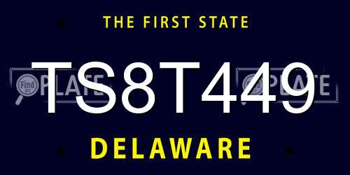 TS8T449 Delaware License Plate