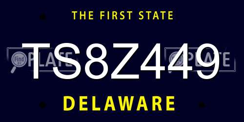 TS8Z449 Delaware License Plate