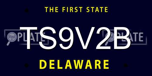 TS9V2B Delaware License Plate
