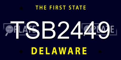 TSB2449 Delaware License Plate