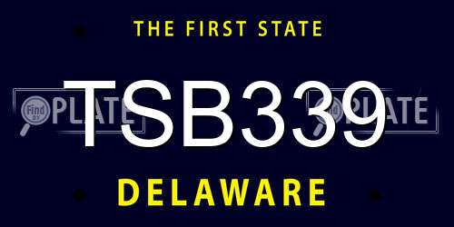 TSB339 Delaware License Plate