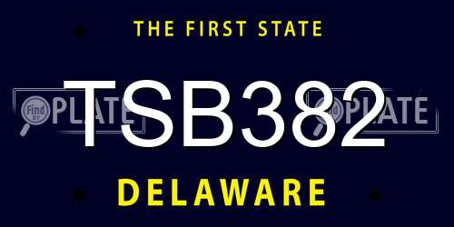 TSB382 Delaware License Plate