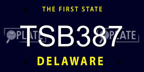 TSB387 Delaware License Plate