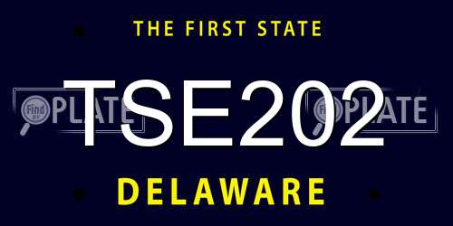 TSE202 Delaware License Plate