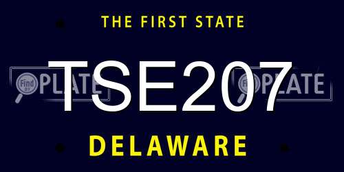 TSE207 Delaware License Plate