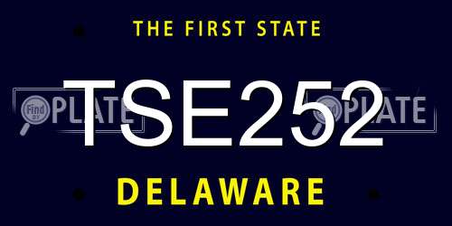 TSE252 Delaware License Plate