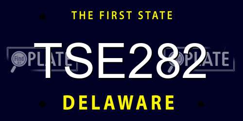 TSE282 Delaware License Plate
