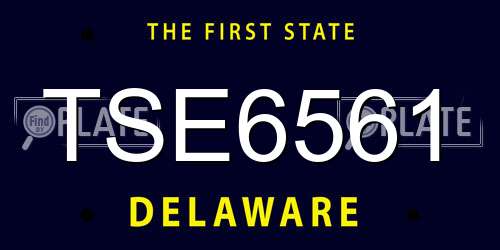 TSE6561 Delaware License Plate