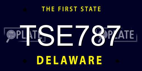 TSE787 Delaware License Plate