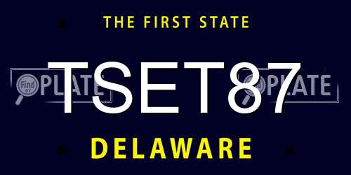 TSET87 Delaware License Plate