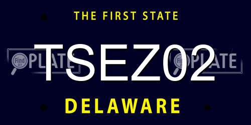 TSEZ02 Delaware License Plate